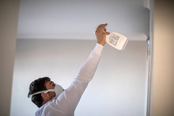 Best Commercial Mold Removal  in Hayneville, AL
