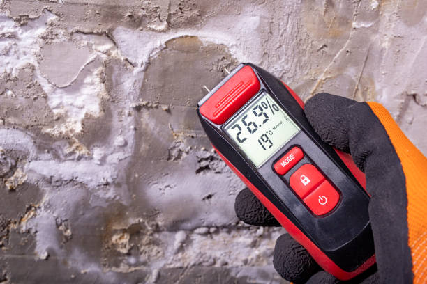 Best Mold Remediation Experts  in Hayneville, AL